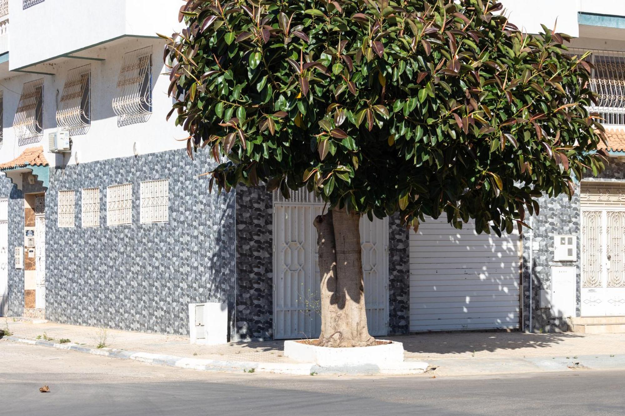 Appartements Calmes Et Spacieux Tétouan Eksteriør billede